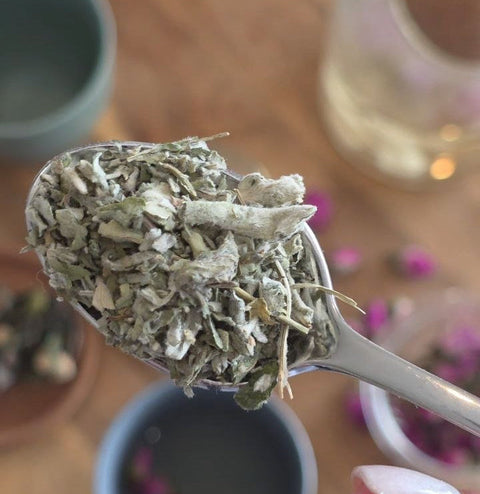 Why Loose Leaf Tea Is Better Than Tea Bags