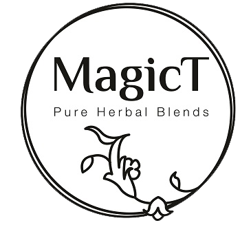 Magic T