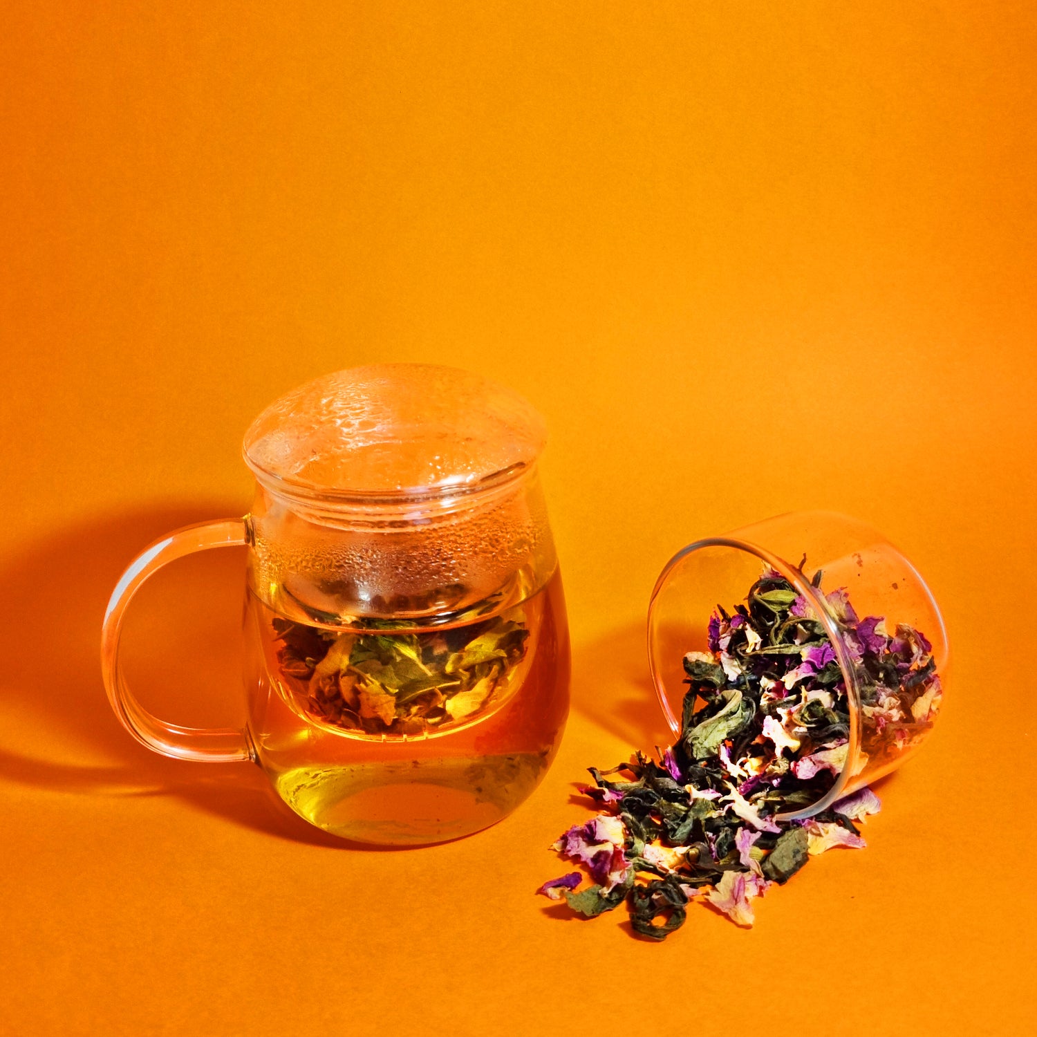 Glass Infuser Mug - Magic T